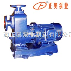 上海品牌直联式自吸泵