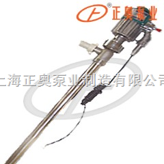 上海品牌防爆型电动油桶泵