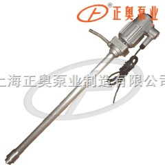 上海品牌J防爆型电动油桶泵