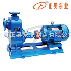 上海品牌卧式自吸泵