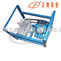 上海品牌手摇、电动二用计量加油泵