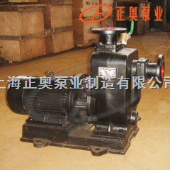 上海品牌直联式自吸排污泵