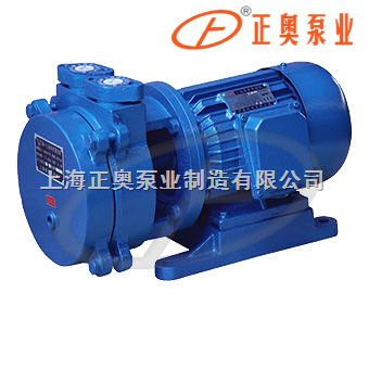 直联式水环真空泵