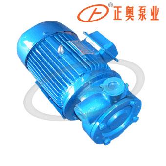 单级直联旋涡泵