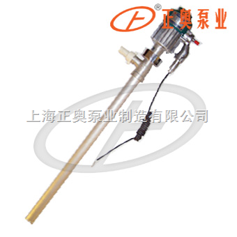 防爆型电动油桶泵（铝合金）