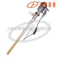 JK-3B-7L型防爆型电动油桶泵（铝合金）