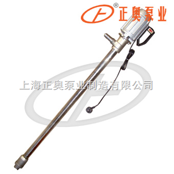 普通型电动油桶泵（不锈钢）