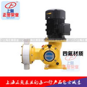 DJ-Z型电动隔膜式计量泵