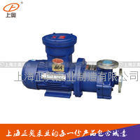 正奥磁力泵50CQ-25BP防爆型不锈钢304磁力泵