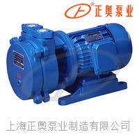 正奥泵业SK-0.8型直联式水环式真空泵